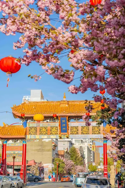 🇨🇦 Victoria 2D1N Itinerary - Hidden Gems Guide