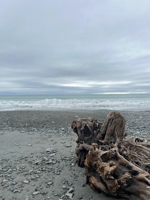 Falling in Love with Greymouth Because of This Dreamy Cottage! 