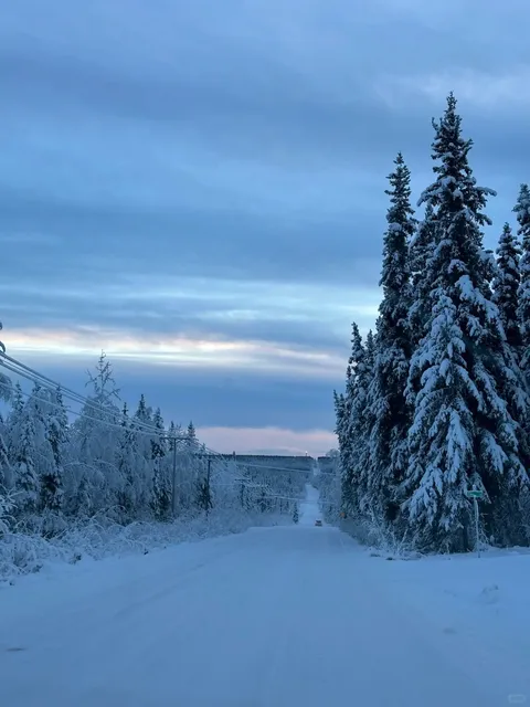 Visited Fairbanks, Alaska for Thanksgiving ❄️