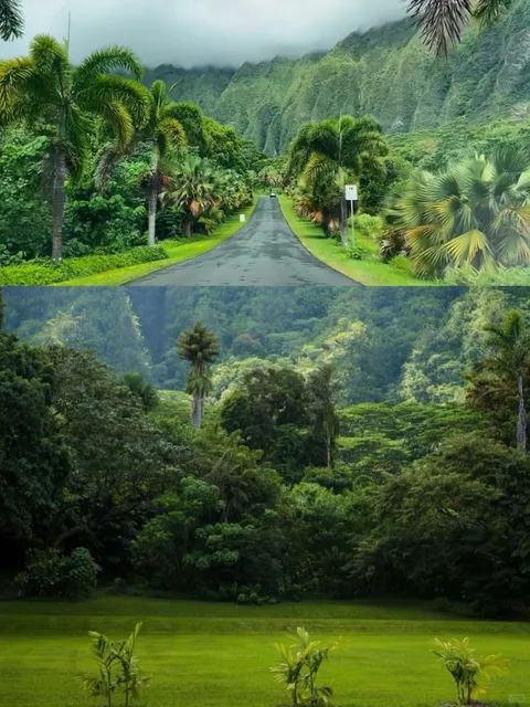 🌺 Hawaii Botanical Gardens Guide 🌿