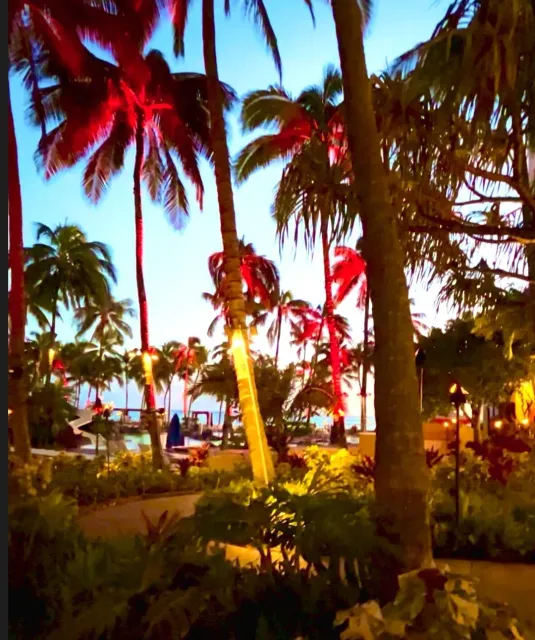 Rainbows Make Dreams Come True! 🌈