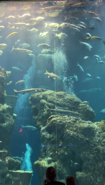 Fun Indoor Activities in Charleston on a Rainy Day 🌧️🏙️