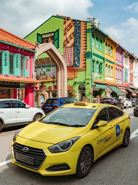 🍃 Singapore  Dopamine Little India 🌸