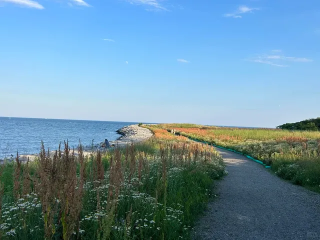 🇨🇦 Humber Bay's New Hidden Gem Park is Finally Open!