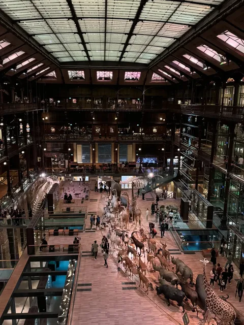 Paris Off-the-Beaten-Path Attraction: Grande Galerie de l'Évolution