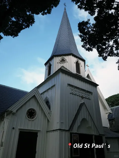 🇳🇿 Auckland to Wellington Road Trip: 4D3N Getaway 🚗