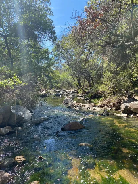Hiking Notes at Elfin Forest 🚶🌿