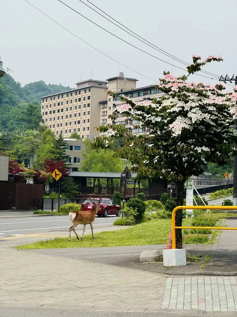 Hokkaido | Noboribetsu 🌿🍃