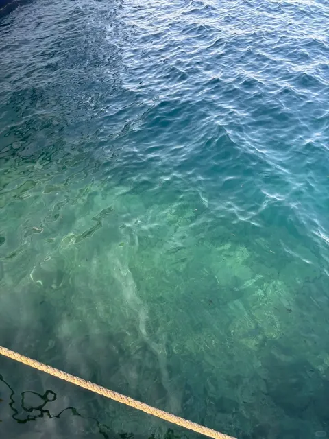 Day 1 Vis Lazy Travel Guide 🏝️