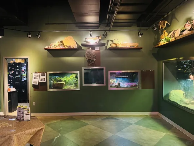 🌟 Hidden Astronomical Gems in Jacksonville, FL! 🌠