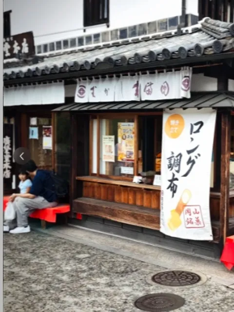 🌸🌺 A Day Trip to Kurashiki 🌿🍃