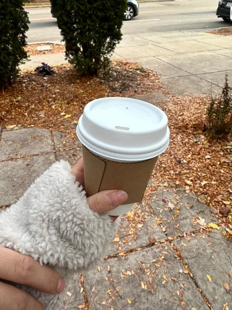 🍞 Madison Bakery Review: Madison Sourdough 😋