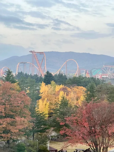 🇰🇷 Autumn Getaway | A Trip to Gyeongju, the Millenary Silla Capital