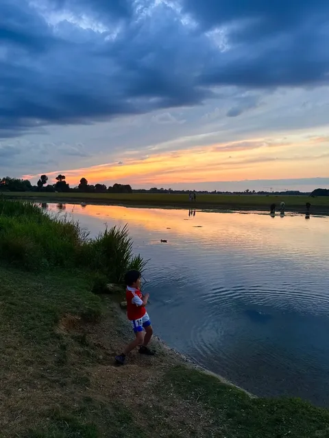 🌳 A Natural Meadow in the Heart of Oxford