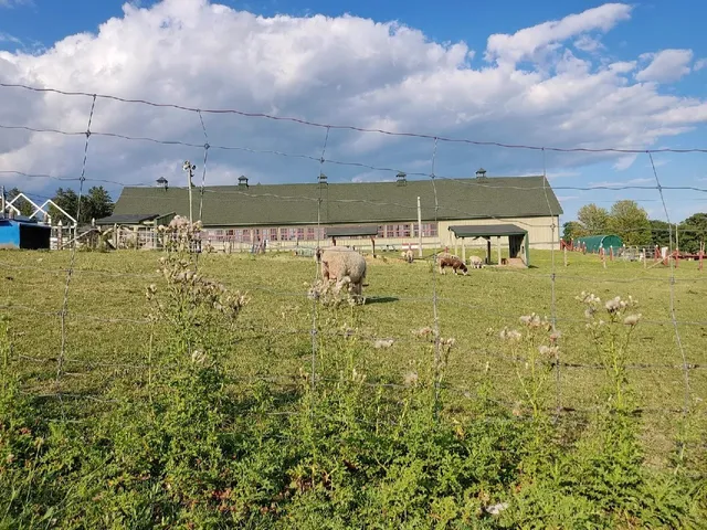🍎🐄👶🏻 Canadian Agriculture and Food Museum: A Kid-Friendly Feast!
