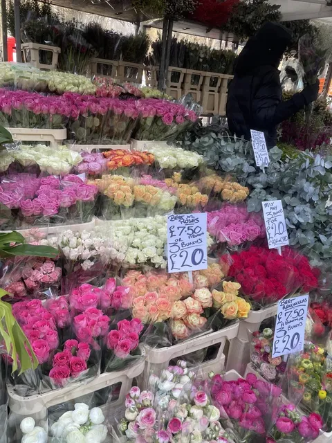 London's Most Beautiful Sunday Market: Columbia Road Flower Market