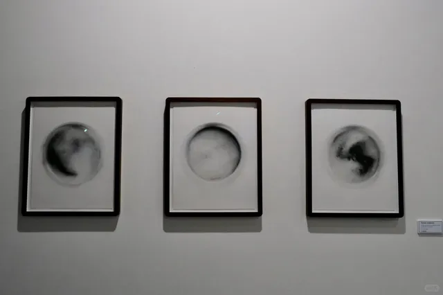 🇳🇿 Wellington | Perfect City Walk Itinerary 🚠☀️