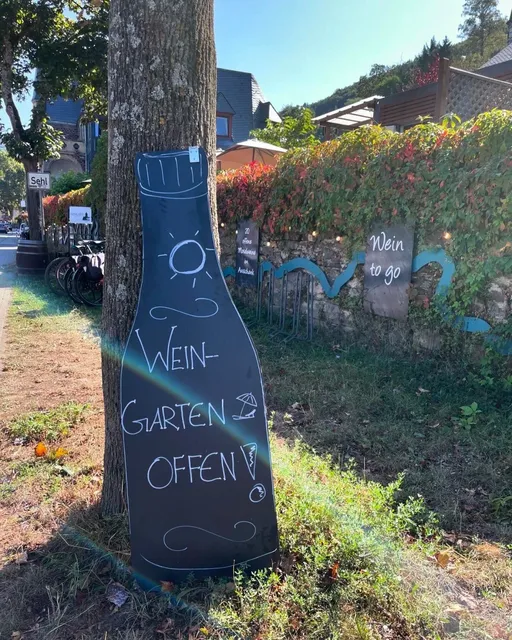 🇩🇪 Day Trip from Bonn — Cochem