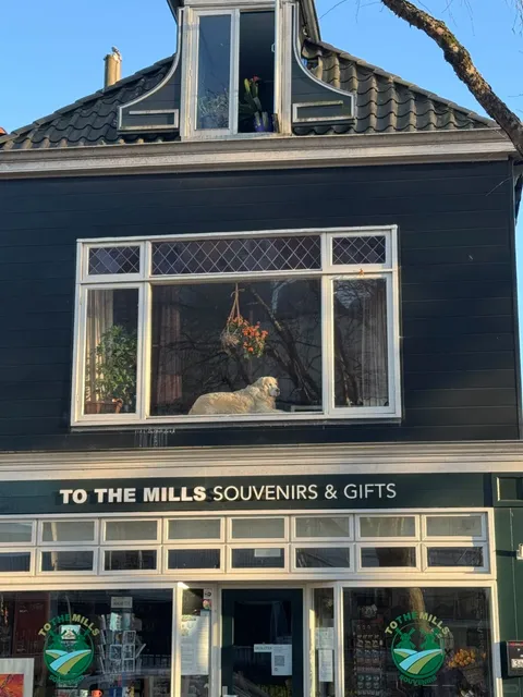 Zaanse Schans | Windmill Village | Route Guide