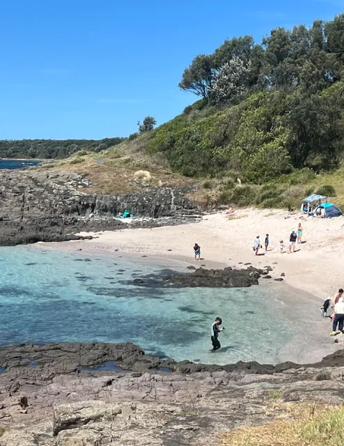 🇦🇺 Wollongong Foraging & Fishing Adventure (Car-Free!) | 2D1N Itiner