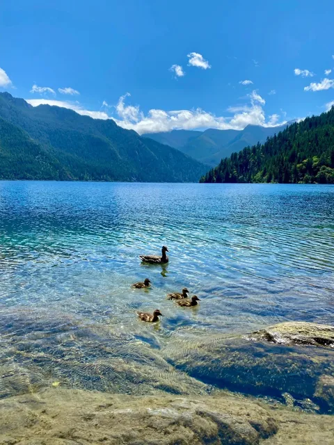 🌸 Seattle in Early Summer: A Family-Friendly Adventure 🌦️