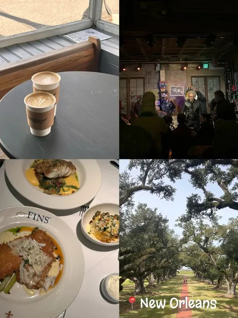 A Southern Christmas Trip