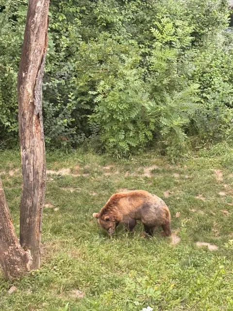 Switzerland Travel Guide | Bern Day Trip