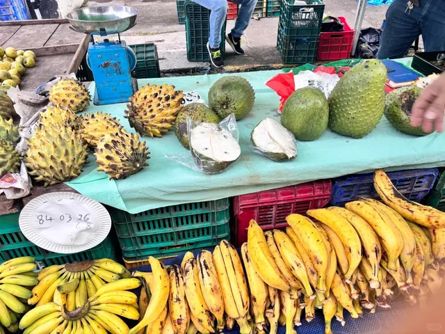 A Weekend Getaway in San José, Costa Rica 🌿🌋