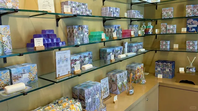 🇫🇷 Grasse: The Hidden Perfume Capital of the French Riviera