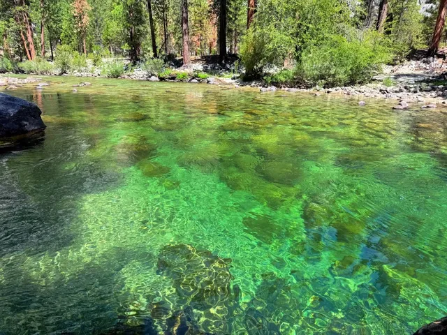 The Underrated Gem: Kings Canyon National Park