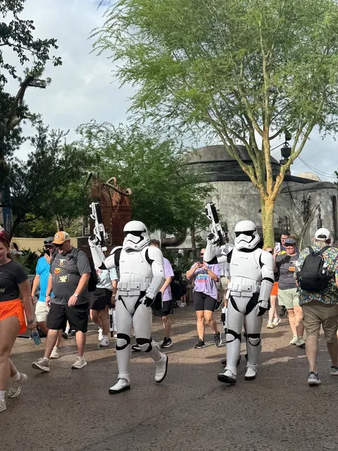 Orlando Disney Hollywood Studios Ride Reviews 🎬