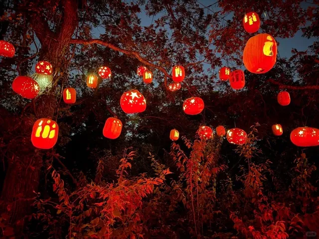 A Magical Lantern Art Experience