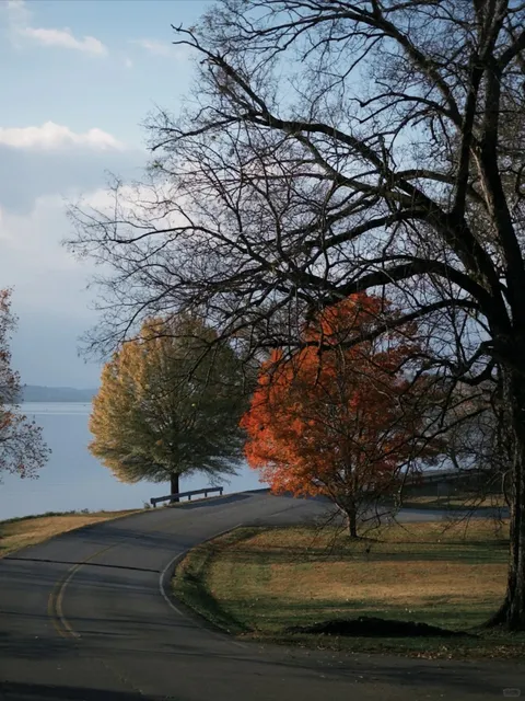 U.S. RV Trip 🚐 | Atlanta → Chicago → Asheville