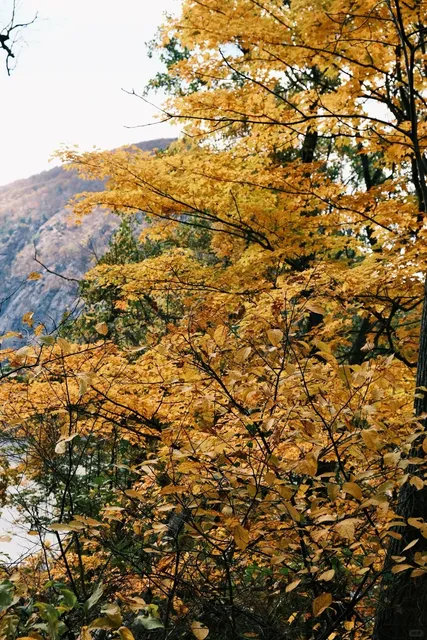 NYC Autumn Escape: Cold Spring Hiking Guide 🍂