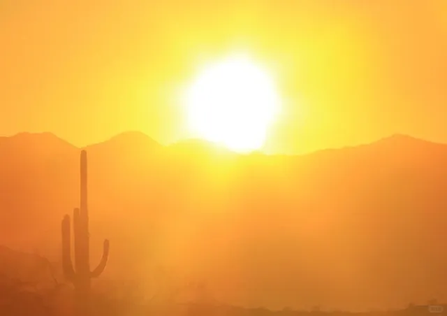 Phoenix | Heading Up the Mountain to See the Sunset and Cacti 🧡💚