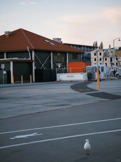 Tasmania | Day 1 Adventure in Hobart