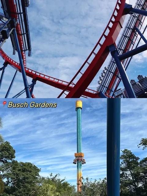 Tampa Recommendations: Food & Fun 🍽️🌴