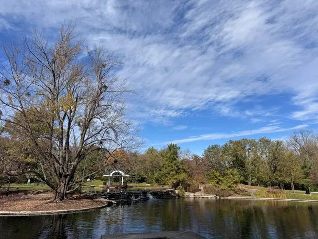 Louisville Food Diary 🍴✨