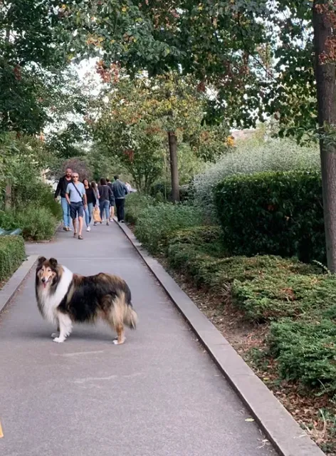 Paris Fragments / Paris René-Dumont Green Corridor 
