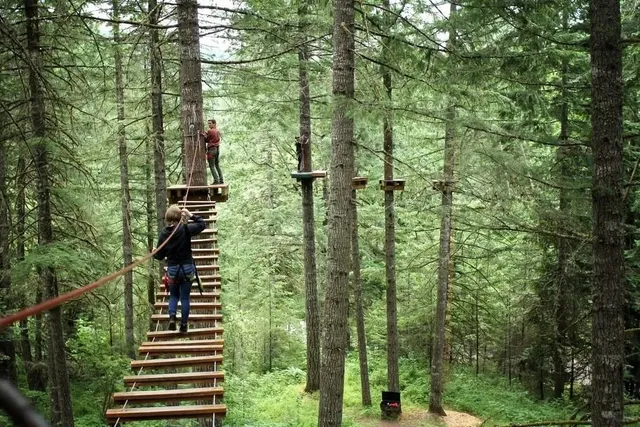 What to Do in Portland, Oregon: Tree to Tree Adventure