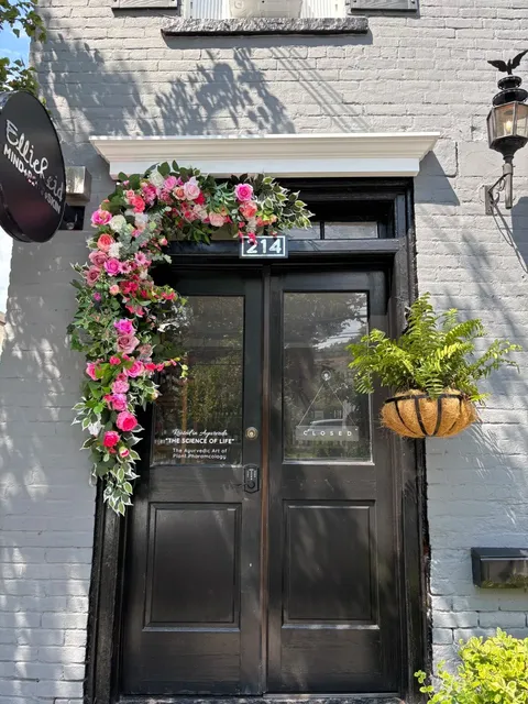 🇺🇸 Long Island | Greenery, Sea Breeze & Boutiques 