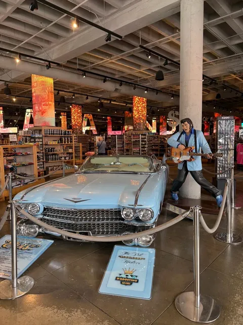 🐻 Hollywood Walk of Fame — A First-Timer's Impression! ✨🌸