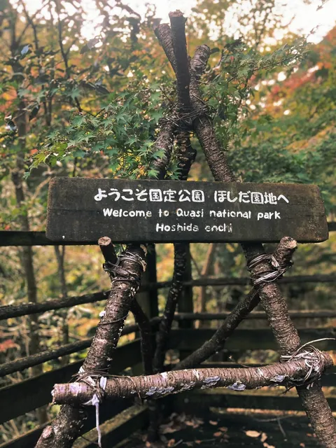 Hoshida no Mori (Star Field) is located in Konan City🌺🌿