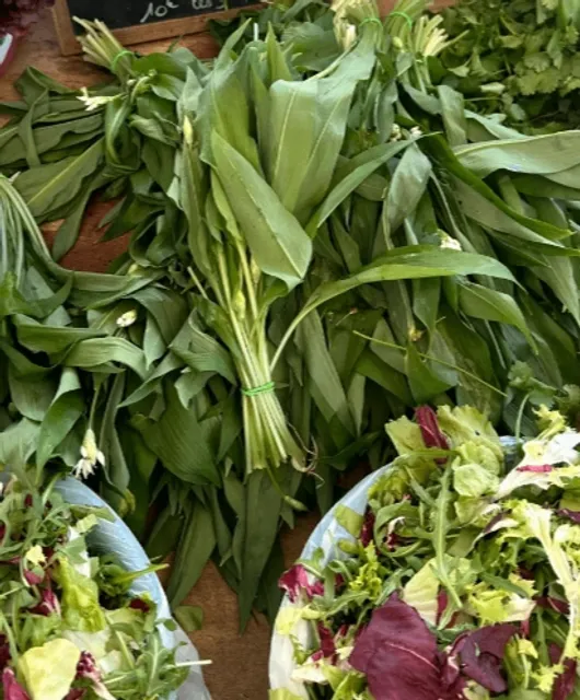 If you visit Lyon and skip Marché Saint-Antoine, you’ll truly be missi