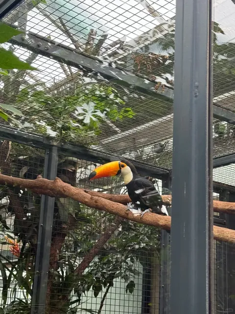 🇩🇪 Stuttgart‘s Zoo is Absolutely Stunning! 🌿🦁