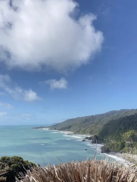  🇳🇿 West Coast Road Trip: Nelson → Hokitika 🚗💨