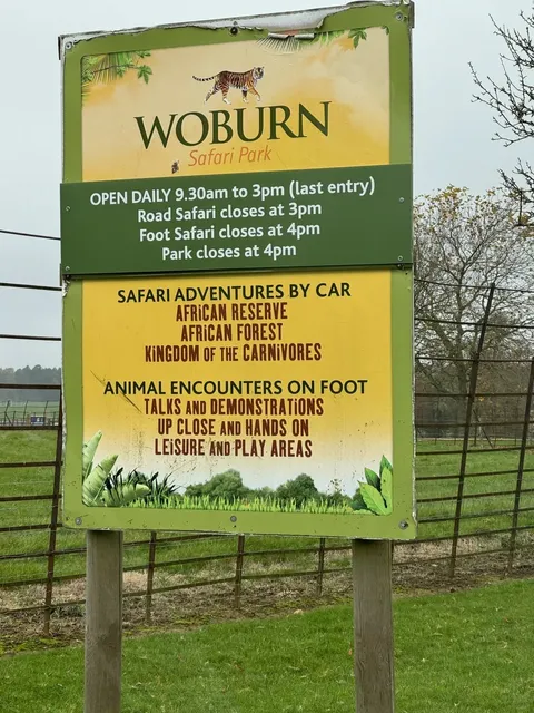 Woburn Safari Park | Ultimate UK Family Adventure! 🦁🚗