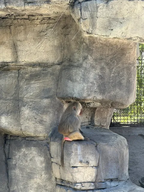 Tampa Day 4 | ZooTampa + Downtown CityWalk