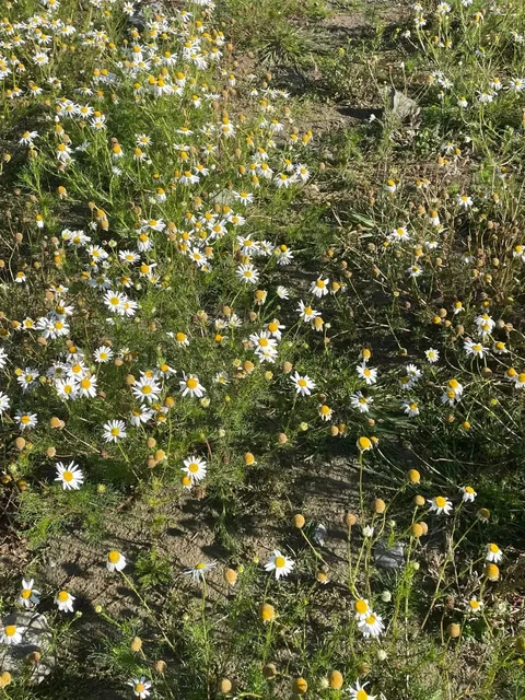 Christchurch Lazy Hiker’s Guide 🚶 Easy Waterfall Adventure