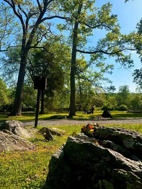 The Viral Waterfall Park Everyone’s Asking About!